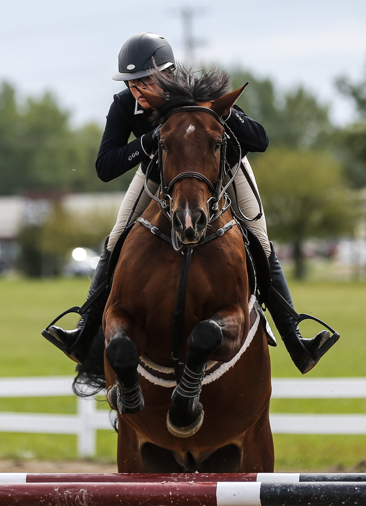 Midstates Horse Show 14